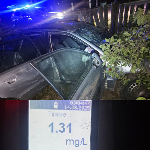 Tânăr din Baia de Fier implicat într-un incident de circulație după ce a refuzat să oprească la semnalele poliției