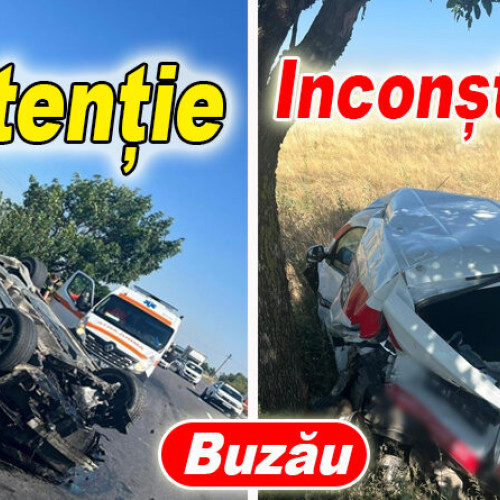 Șofer neatent oprit pe prima bandă pe E85, risc de accidente grave