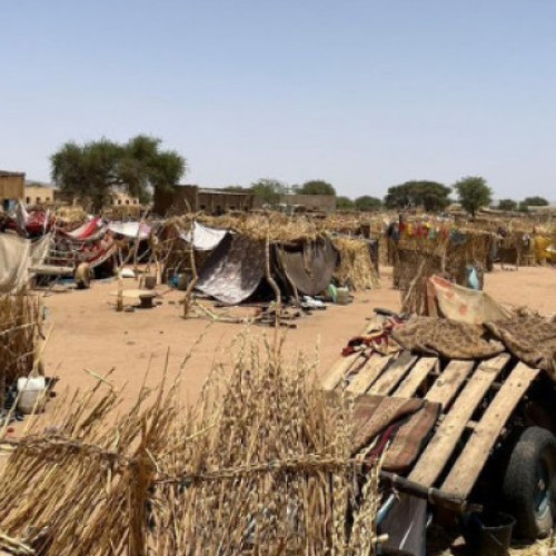 Criza gravă de holera în Darfur și întreaga Sudan