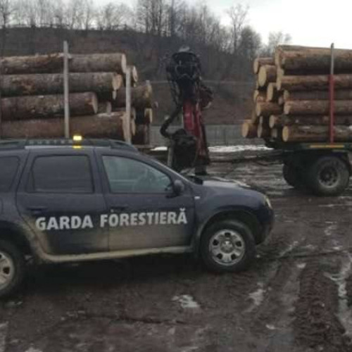 Guvernul a aprobat majorarea numărului de posturi pentru Garda Forestieră Națională
