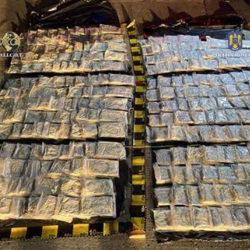 Descoperire record de droguri în județul Sibiu