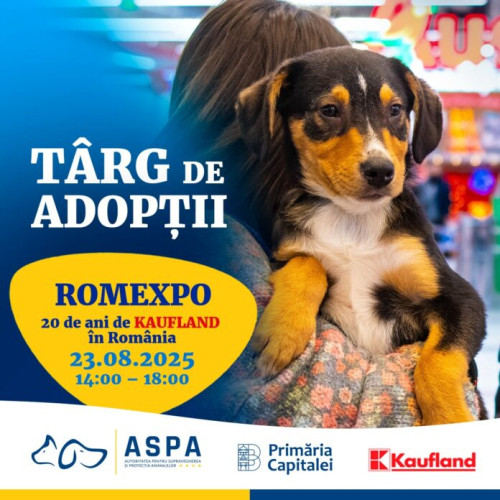 Târg de adopții pentru câini organizat de ASPA București la Romexpo