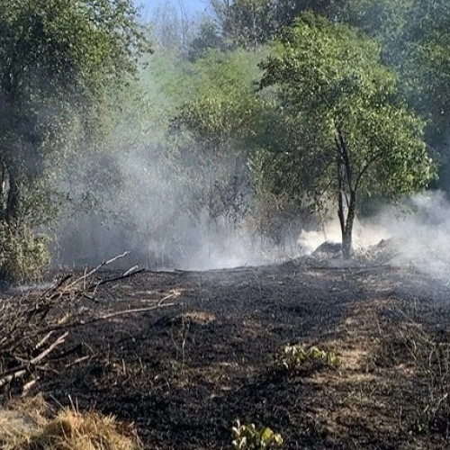 Incendiu de pădure la Mălaia. Pompierii intervin de urgență