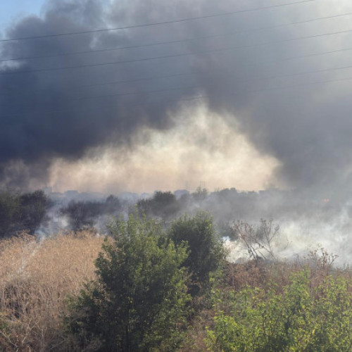 Incendiu de vegetație în Clinceni, județul Ilfov