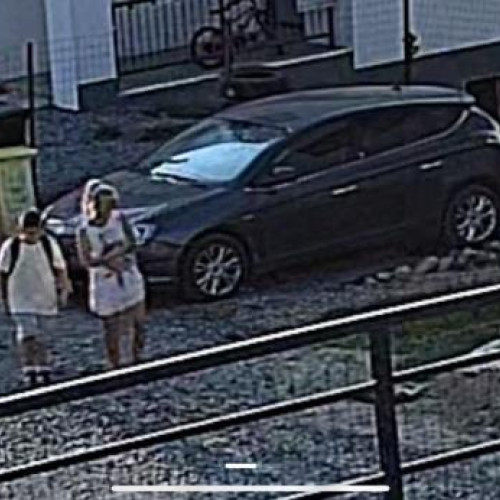 Femeie arestată după ce a furat o pisică în Cluj-Napoca