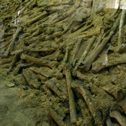 Situație tensionată între China și Japonia din cauza trecutului războiului