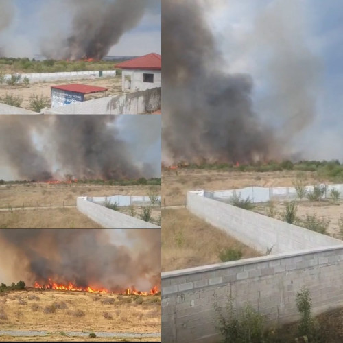 Incendiul de vegetație din Târgu Jiu se apropie de zonele locuite