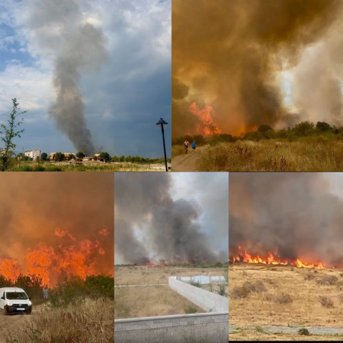 Incendiu de proporții în Târgu Jiu, cartierele Preajba și Narciselor protejate