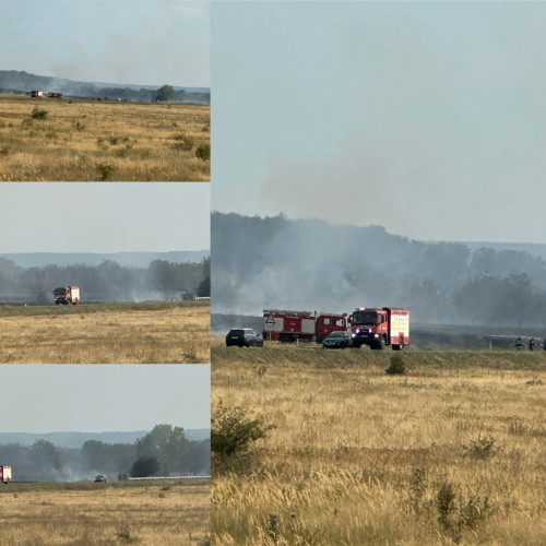 Incendiu de vegetație în zona variantei ocolitoare a orașului Târgu Jiu