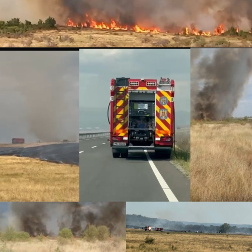 Incendiul de vegetație din zona Preajba, aproape de cartierul Narciselor, devine mai grav