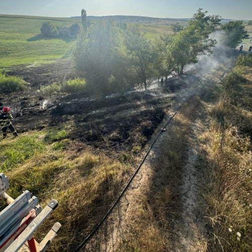 două incendii de vegetație uscată în satul Stroesti, comuna Frumușica