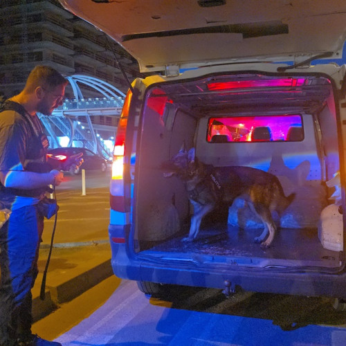 Dubla tragedie în Mamaia și anchetă în accidentul mortal din martie 2025