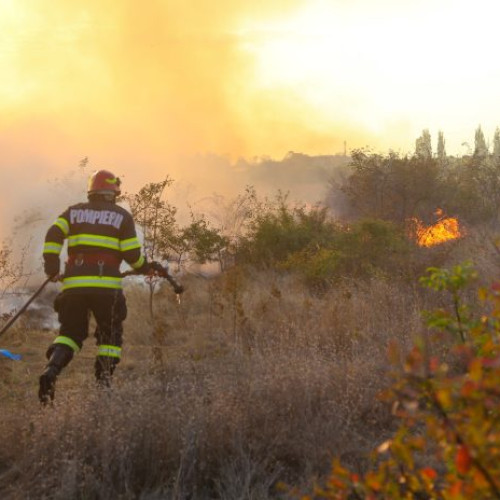 Incendiile de vegetație, un nou pericol în România