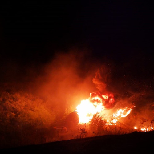 incendii de vegetație în Portugalia și Spania: un apel pentru ajutor european