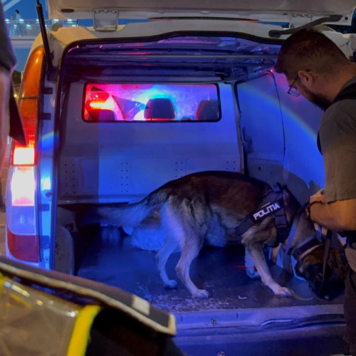 o serie de acțiuni pentru siguranța rutieră și ordinea publică în Constanța