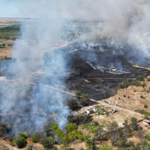 Incendiu de vegetație în Medgidia, controlat cu eforturi mari