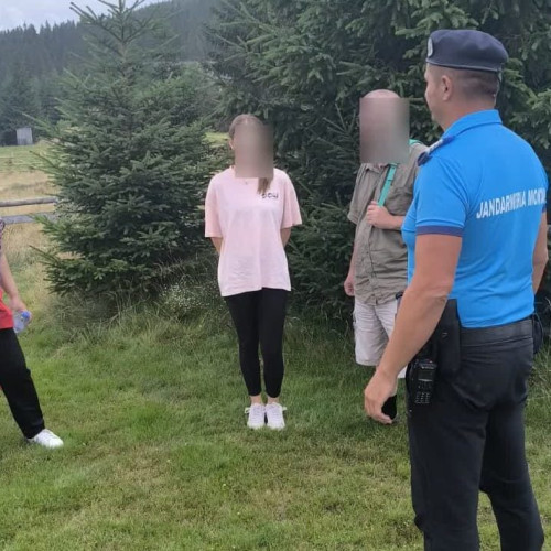 ursul observat pe traseul montan din județul Alba