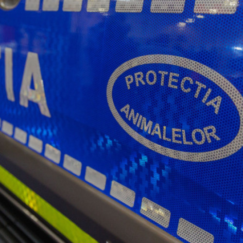 anchetă după filmarea unor animale trăgându-se cu mașina în Argeș