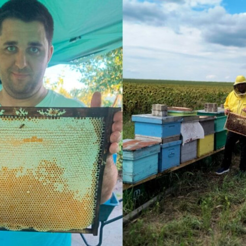 tinerii apicultori din galati: andrei morozan a ales apicultura dupa o carieră în agricultura