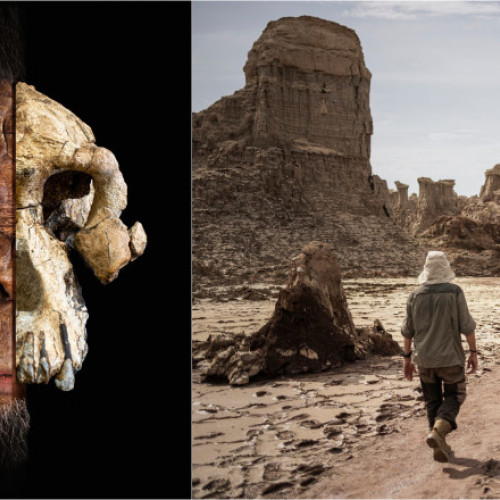 Descoperire importantă în evoluția hominizilor în regiunea Afar din Etiopia