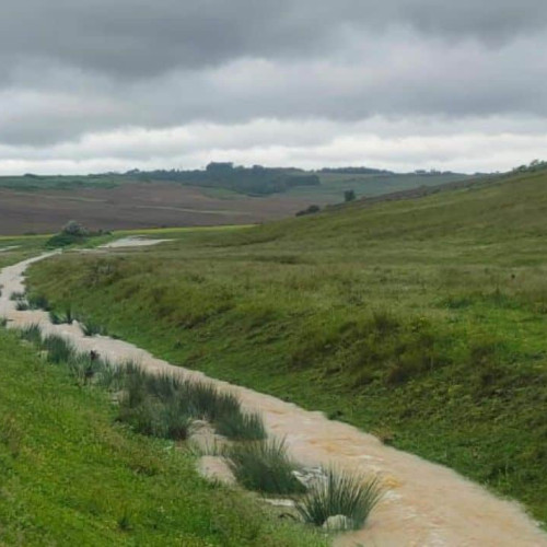 Meteorologii emit noi avertizări de vreme instabilă în mai multe zone din țară, inclusiv în județul Alba, anunță sursele. Potrivit ANM, luni dimineața au fost actualizate informațiile privind fenomenele meteorologice și zona Munților Sureanu, situată în sudul județului Alba, se află sub avertizare cod portocaliu de furtuni începând cu după-amiaza zilei.