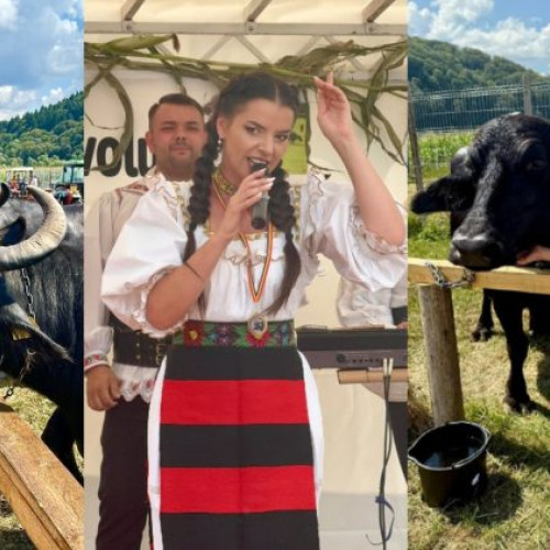 al doilea festival al bivolului a avut loc la Suciu de Sus