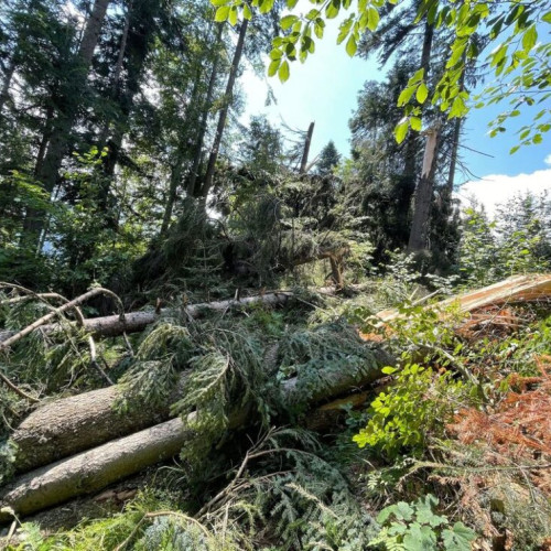Accesul la vârful Piatra lui Orban se face fie pe jos, pe traseul marcat dintre satul Colibița și Poiana Slătiinii, potrivit Salvamont Bistrița-Năsăud. De asemenea, se poate ajunge cu mașina pe un traseu ce începe de la Barajul Colibița, trece prin D.F. Slătița și continuă spre punctul de urcare de pe Valea Slătiinii, indicat de semnele de traseu.