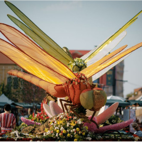 Oradea sărbătorește comunitatea maghiară locală cu eveniment cultural