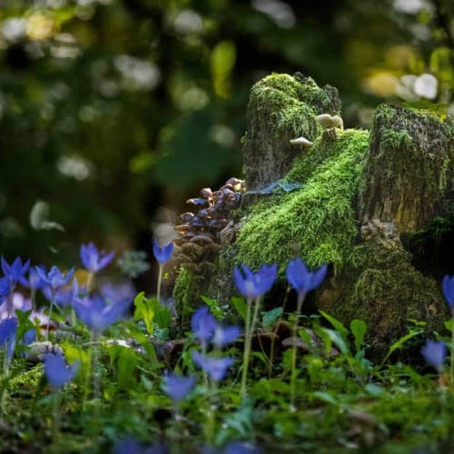 ziua mondială a fotografiei, o celebrare a artei vizuale