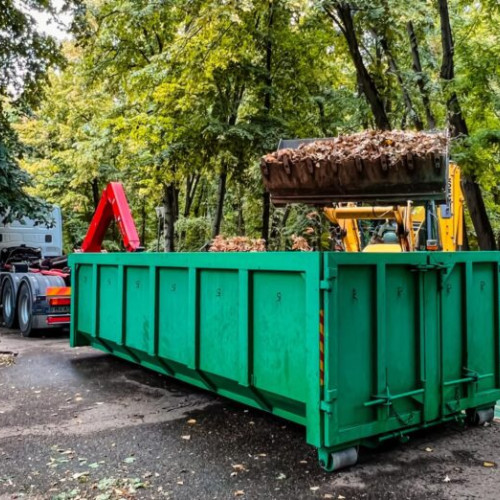 Curățenie și întreținere în Parcul Herăstrău, anunță primarul interimar
