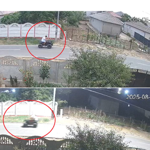 conflicte între localnici în cumpana, poliția locală intervine pentru a menține ordinea