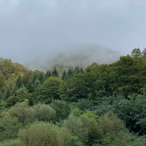 Vremea până în 15 septembrie: Temperaturile vor fi mai scăzute decât de obicei, iar perioadele cu ploi vor fi frecvente