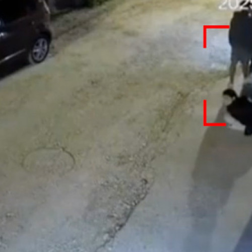 Ursii îi sperie pe localnicii din zonele de munte