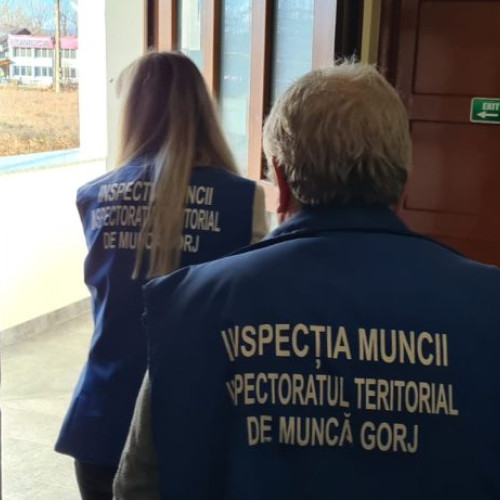 control și sancțiuni în domeniul muncii în gorj