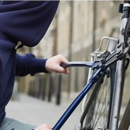 Femeie de 19 ani, prinsă de polițiști pentru furt de bicicletă și trotinetă în Satu Mare