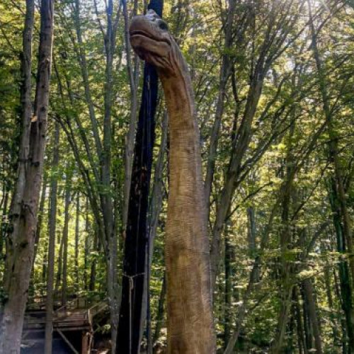 noua vedetă a parcului, brachiosaurus, te duce în lumea preistorică