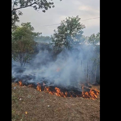 incendiu pe DN 39 între Eforie Nord și Sud: eforturi continue ale pompierilor