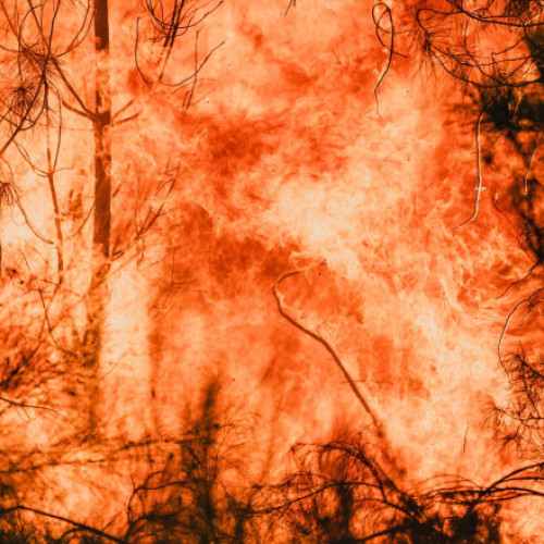 Patru persoane au murit în Spania în ultima săptămână, în timp ce sudul Europei se confruntă cu cea mai gravă serie de incendii forestiere din istorie. Guvernul din Madrid a mobilizat aproape 3.000 de soldați pentru a ajuta pompierii în lupta împotriva focului care a devastat zone întinse ale țării.