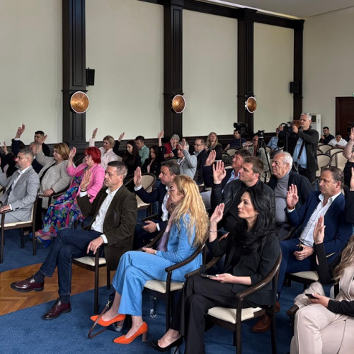 Dana Mariana Constantinescu își depune actele de demisie din funcția de consilier județean PNL