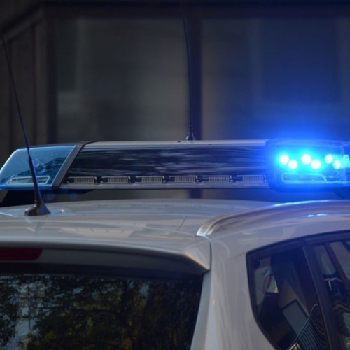 Roman arestat în Italia pentru deținere ilegală de armă