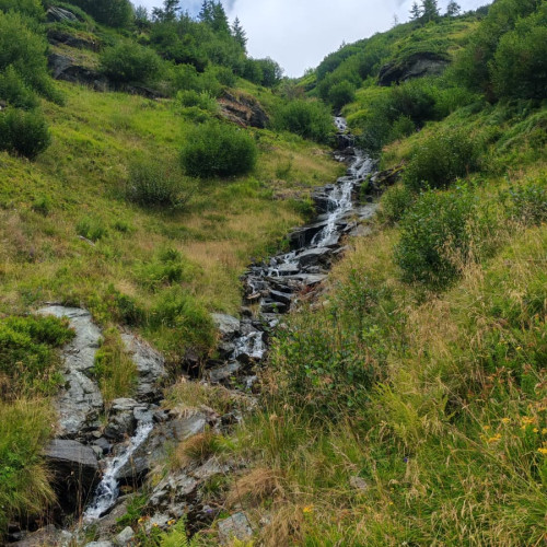 izvorul rosu, un punct important pentru monitorizarea apelor subterane din muntii rodnei