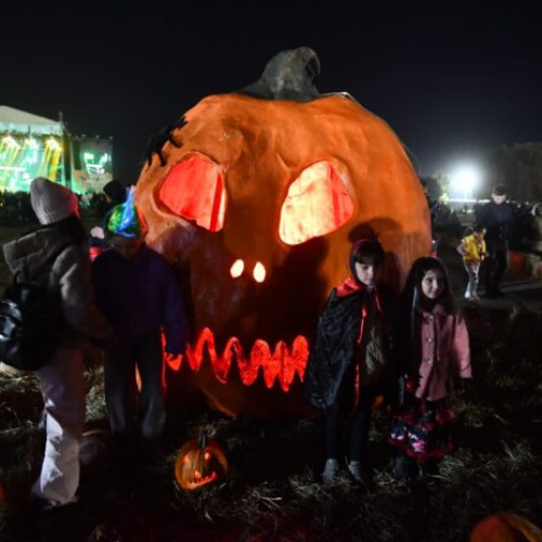West Side Hallo Fest va avea loc la Lacul Morii în octombrie