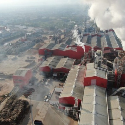 Investigație în Alba: procurorii cercetează activitatea companiei Kronospan