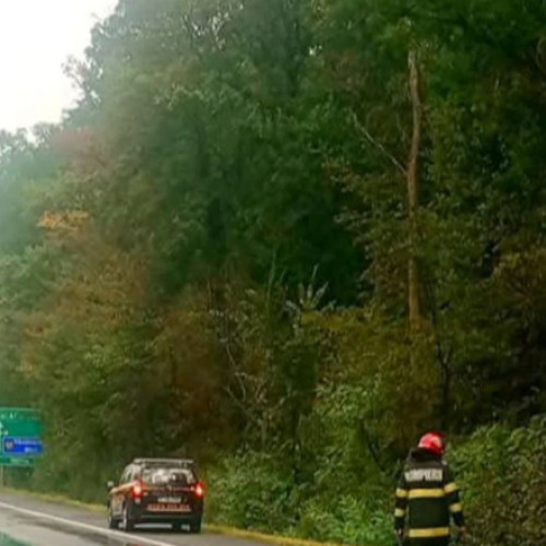 Tragedie pe autostrada București-Pitești: doi pietoni au murit după ce au fost loviți mortal de un TIR