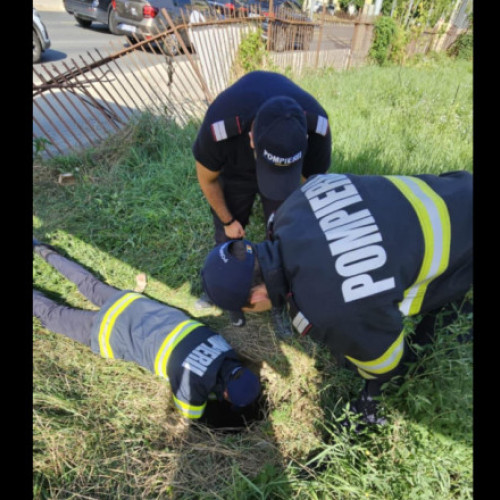 Pompierii din Iași au salvat un câine dintr-un canal adânc de patru metri