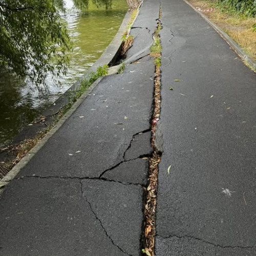 Lucrări de consolidare în Parcul Regele Mihai I încep joi