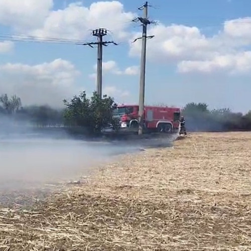 Incendiu de vegetație pe autostrada A2 în apropierea km 188