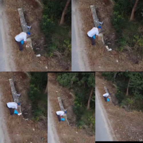 titlu: bărbat din novaci cercetat pentru abandonarea a trei pui de câine