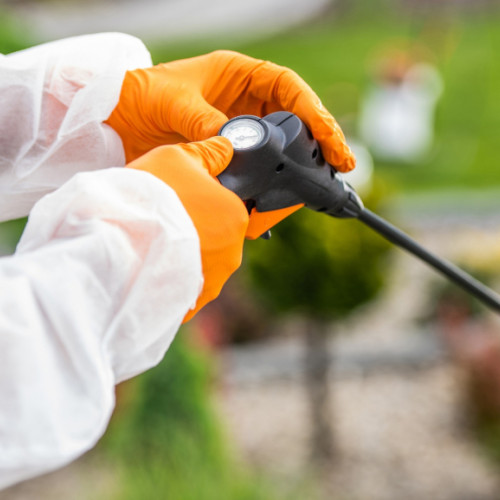 ANF deschide procedura pentru ocuparea a 19 de funcții publice în cadrul instituției