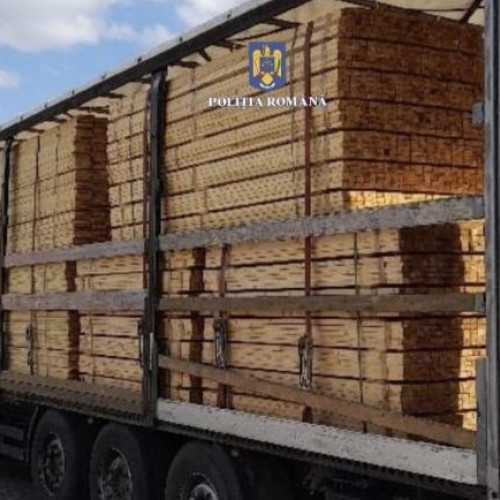 Polițiștii din Huedin au descoperit un transport ilegal de lemn